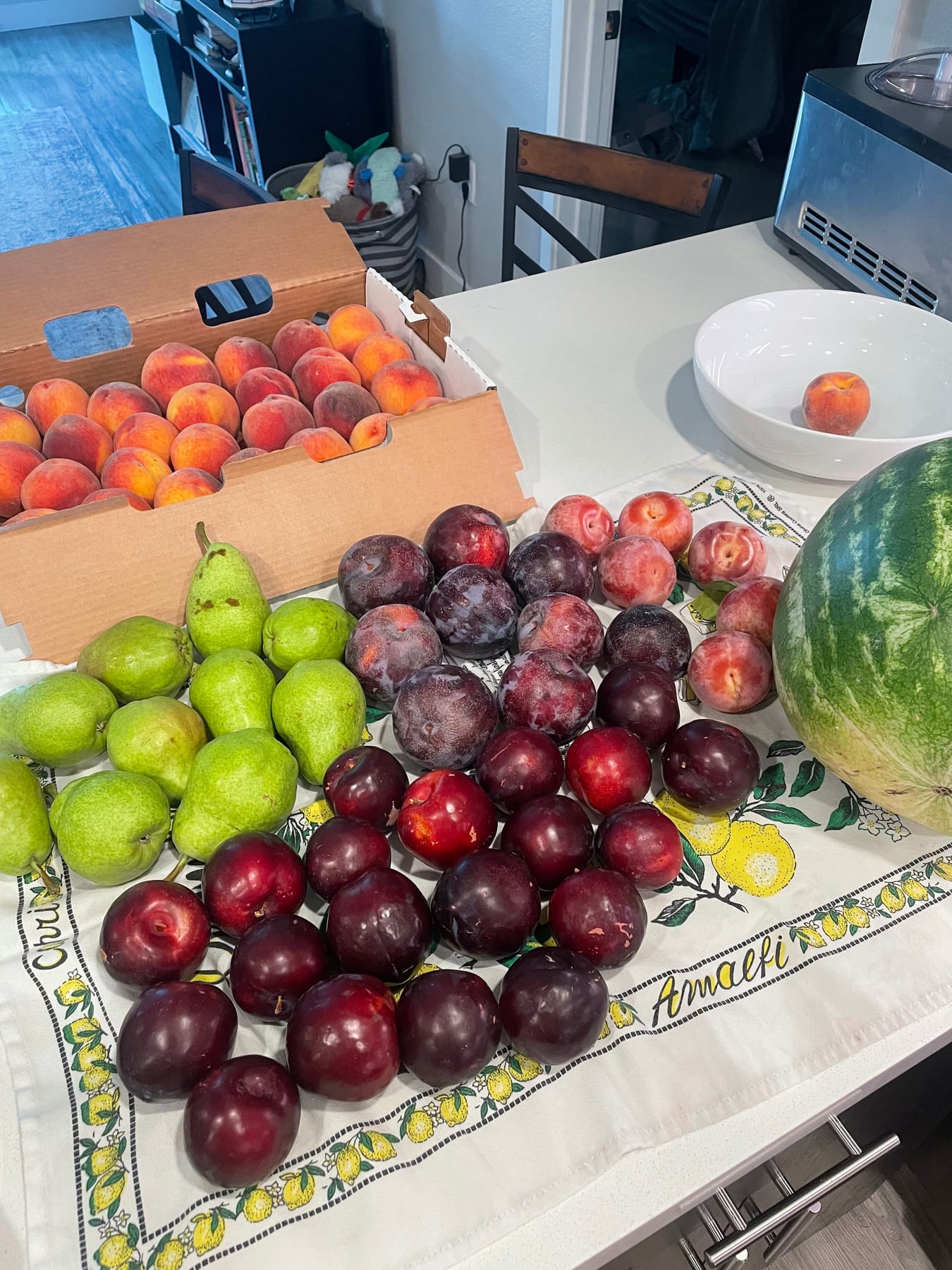 Peaches, plums, pears and a watermelon on the kitchen counter